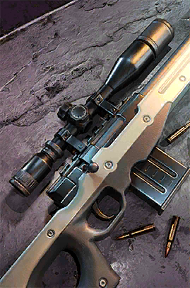 Rifle de Francotirador Ranger