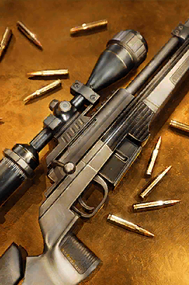 Снайперская винтовка «Хранитель»